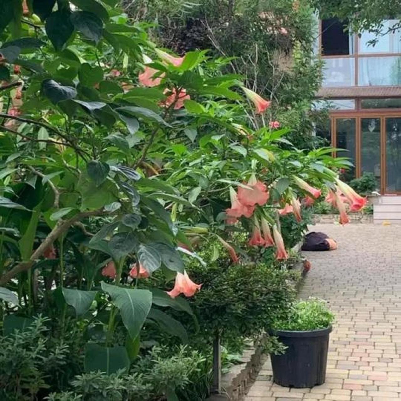 Batumi Wonderland Hotel Exterior foto
